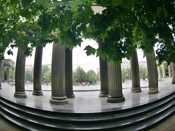 广泰小区绿化工程